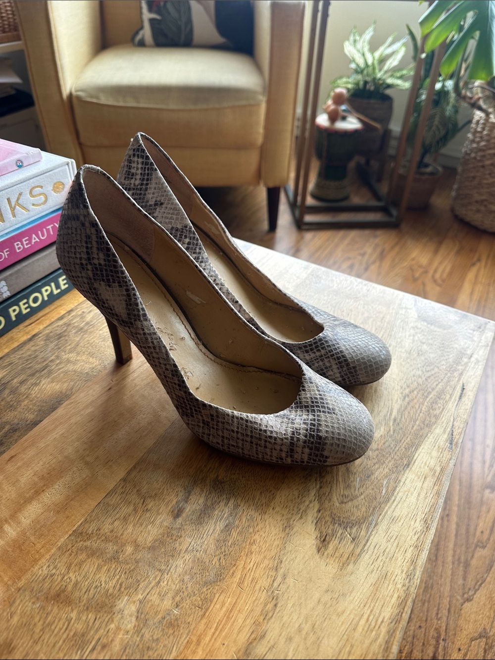Nine West Snake-Print Pumps in Gray and Cream size 10